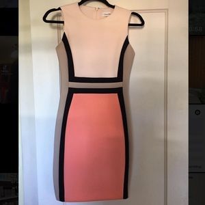 Calvin Klein ColorBlock Dress
